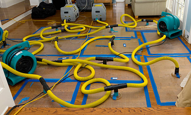 Professional Water Damage Repair technician working in Lapeer, MI